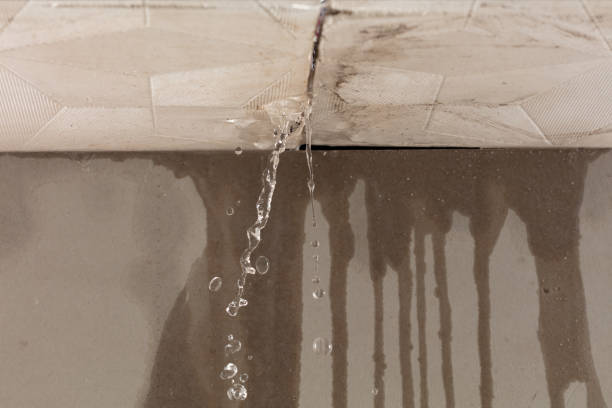 Professional Structural Drying technician working in Pottsville, AR